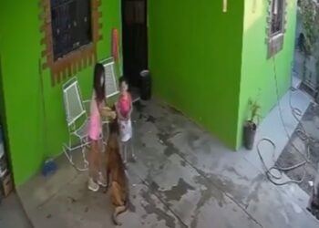 Grecy recibe atención médica en el hospital Amparo Pape de Benavides tras el accidente con su perro.