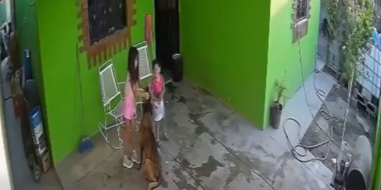 Grecy recibe atención médica en el hospital Amparo Pape de Benavides tras el accidente con su perro.