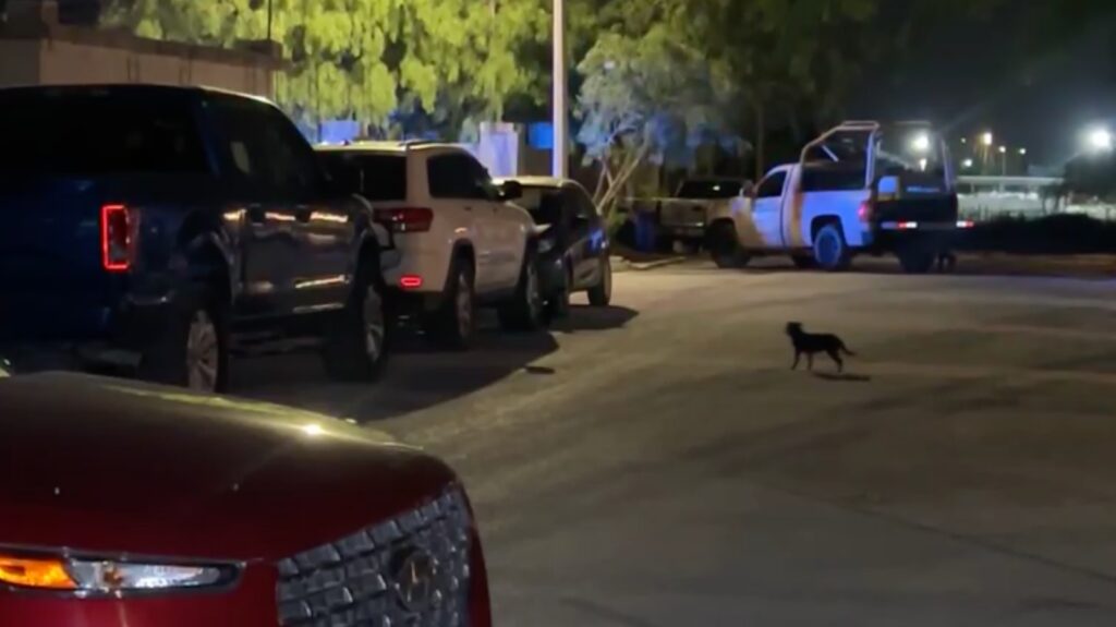 Aseguran droga, armas y detienen a dos en cateo.