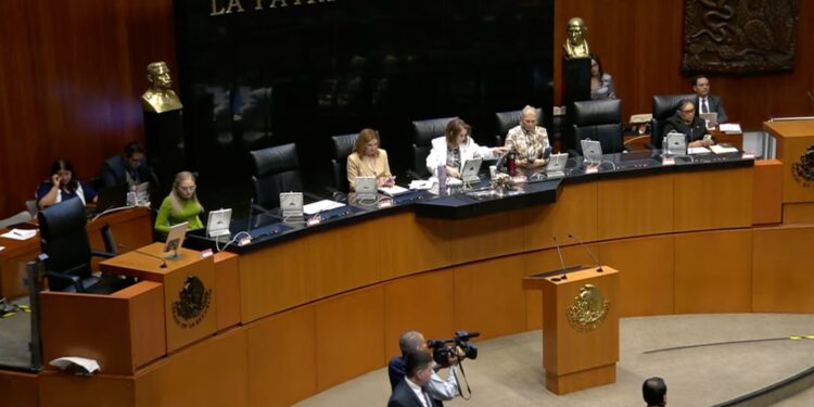 El Senado avaló por unanimidad la reforma para crear una ley general en la materia.
