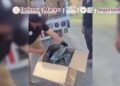 El aseguramiento fue resultado de un operativo coordinado entre fuerzas federales en Coahuila.
