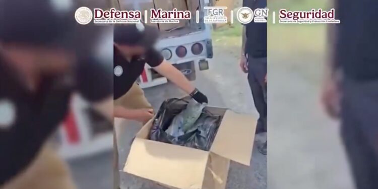 El aseguramiento fue resultado de un operativo coordinado entre fuerzas federales en Coahuila.