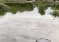 Detectan dos casos sospechosos de dengue tras lluvias; Salud pide atender arroyos y vados. 