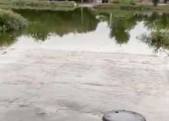 Detectan dos casos sospechosos de dengue tras lluvias; Salud pide atender arroyos y vados. 
