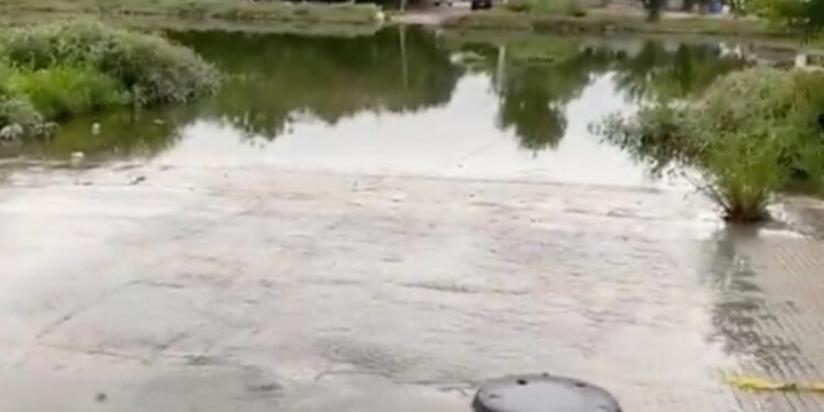 Detectan dos casos sospechosos de dengue tras lluvias; Salud pide atender arroyos y vados. 
