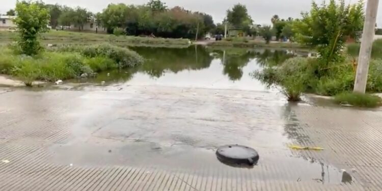 Reconoce Imagen Urbana mantenimiento tardío en arroyos tras semanas de lluvias y reportes ciudadanos. 