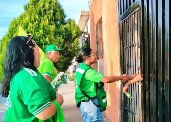 La candidata del PVEM recorre diversos sectores como parte de sus actividades de campaña en el Distrito 02.