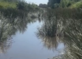 Nicanor Moyeda señaló que la falta de limpieza en los arroyos contribuye a los problemas de inundación en colonias bajas de Piedras Negras.