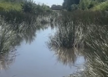 Nicanor Moyeda señaló que la falta de limpieza en los arroyos contribuye a los problemas de inundación en colonias bajas de Piedras Negras.