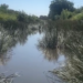 Nicanor Moyeda señaló que la falta de limpieza en los arroyos contribuye a los problemas de inundación en colonias bajas de Piedras Negras.