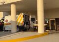 Ataca enjambre de abejas a podador; termina hospitalizado.