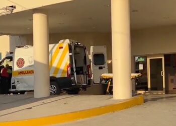 Ataca enjambre de abejas a podador; termina hospitalizado.
