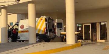Ataca enjambre de abejas a podador; termina hospitalizado.