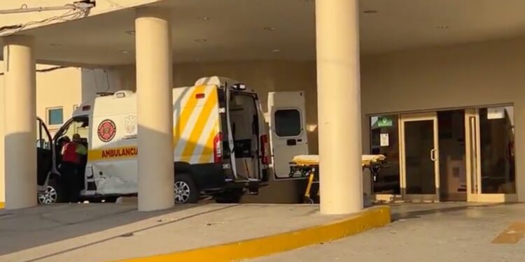Ataca enjambre de abejas a podador; termina hospitalizado.