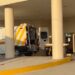 Ataca enjambre de abejas a podador; termina hospitalizado.