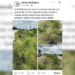De exigir limpieza de arroyos a culpar a otros: exhiben contradicciones de Jacobo tras inundaciones.