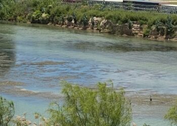 Crecen islotes y vegetación en el río Bravo; advierten sobre efectos de la sequía en la frontera.