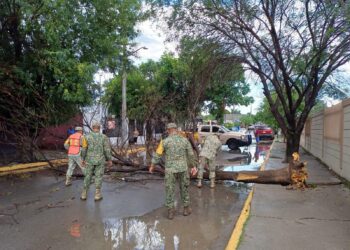 Deja tormenta madrugada caótica en Acuña y Del Río.