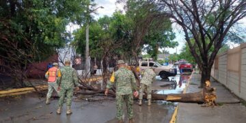 Deja tormenta madrugada caótica en Acuña y Del Río.