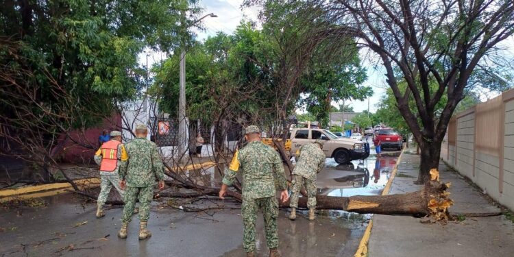 Deja tormenta madrugada caótica en Acuña y Del Río.