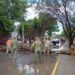 Deja tormenta madrugada caótica en Acuña y Del Río.