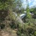 Avioneta que salió de Piedras Negras se desplomó en Nuevo León; sobreviven sus tres tripulantes.