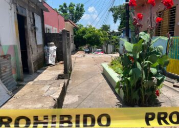 Detienen a "El Gordo Frank" tras enfrentamiento con fuerzas de seguridad en Veracruz.