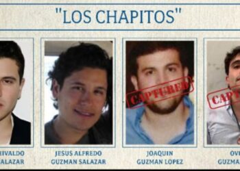 Mantiene Estados Unidos búsqueda de dos hijos de "El Chapo" con recompensa millonaria.