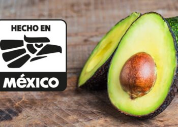 Suspende EU importación de aguacate mexicano por violencia en Michoacán.