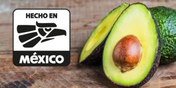 Suspende EU importación de aguacate mexicano por violencia en Michoacán.