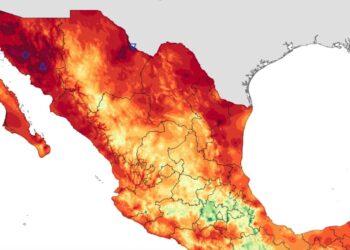 Piedras Negras registró 43 grados Celsius y encabezó ayer el listado nacional de temperaturas máximas del SMN.