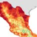 Piedras Negras registró 43 grados Celsius y encabezó ayer el listado nacional de temperaturas máximas del SMN.
