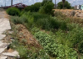 El arroyo El Soldado, en el sector del Edén, Las Argentinas, y colonias aledañas lucía completamente lleno de vegetación ayer martes 29 de septiembre, antes de las lluvias de la madrugada de este miércoles.