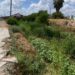 El arroyo El Soldado, en el sector del Edén, Las Argentinas, y colonias aledañas lucía completamente lleno de vegetación ayer martes 29 de septiembre, antes de las lluvias de la madrugada de este miércoles.