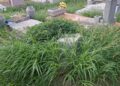 Denuncian abandono en panteones municipales previo al Día de Muertos.