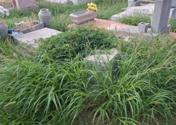 Denuncian abandono en panteones municipales previo al Día de Muertos.
