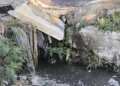 Aguas negras corren por el cauce de una antigua acequia en el área de Los Sabinos, en Villa de Fuente.