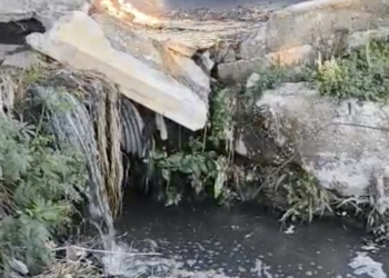 Aguas negras corren por el cauce de una antigua acequia en el área de Los Sabinos, en Villa de Fuente.