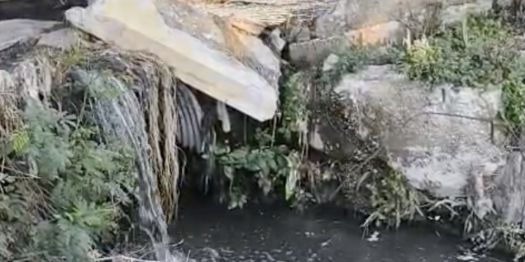 Aguas negras corren por el cauce de una antigua acequia en el área de Los Sabinos, en Villa de Fuente.