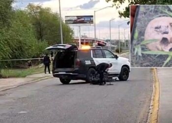 Los restos humanos fueron localizados en un baldío ubicado sobre el Par Vial Alejo González, cerca de H. Colegio Militar.