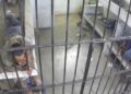 Jacobo cuestiona denuncia por picadura, pero no muestra video completo.