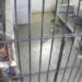 Jacobo cuestiona denuncia por picadura, pero no muestra video completo.